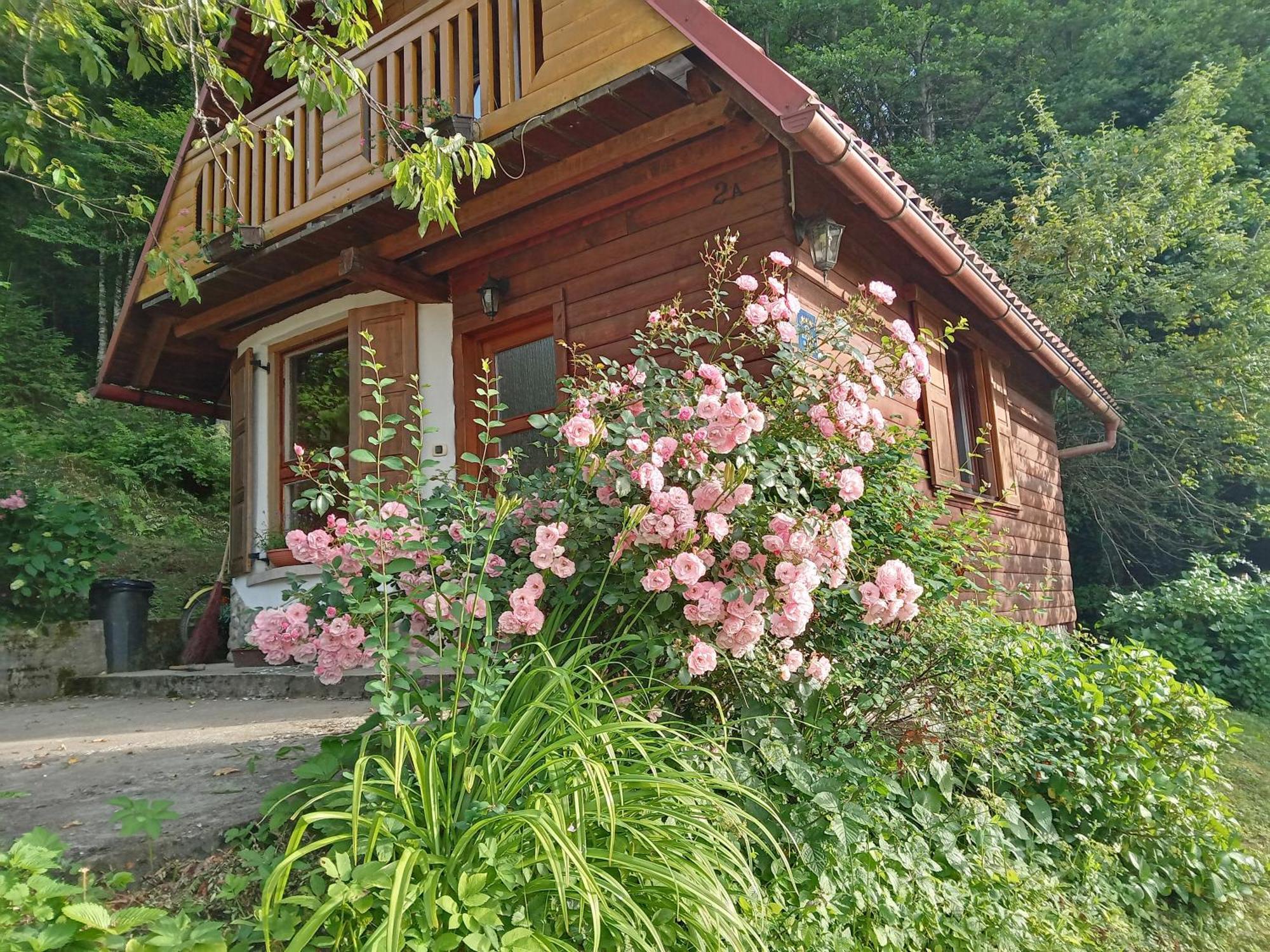 Holiday Home Vesna Brod na Kupi 外观 照片