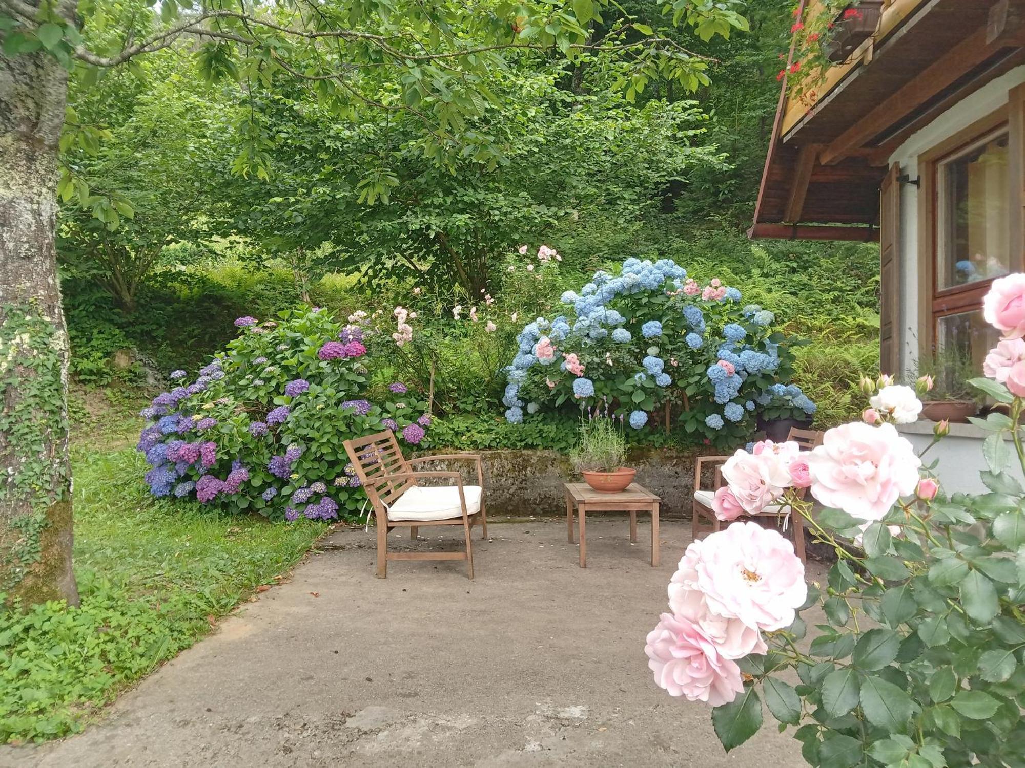 Holiday Home Vesna Brod na Kupi 外观 照片