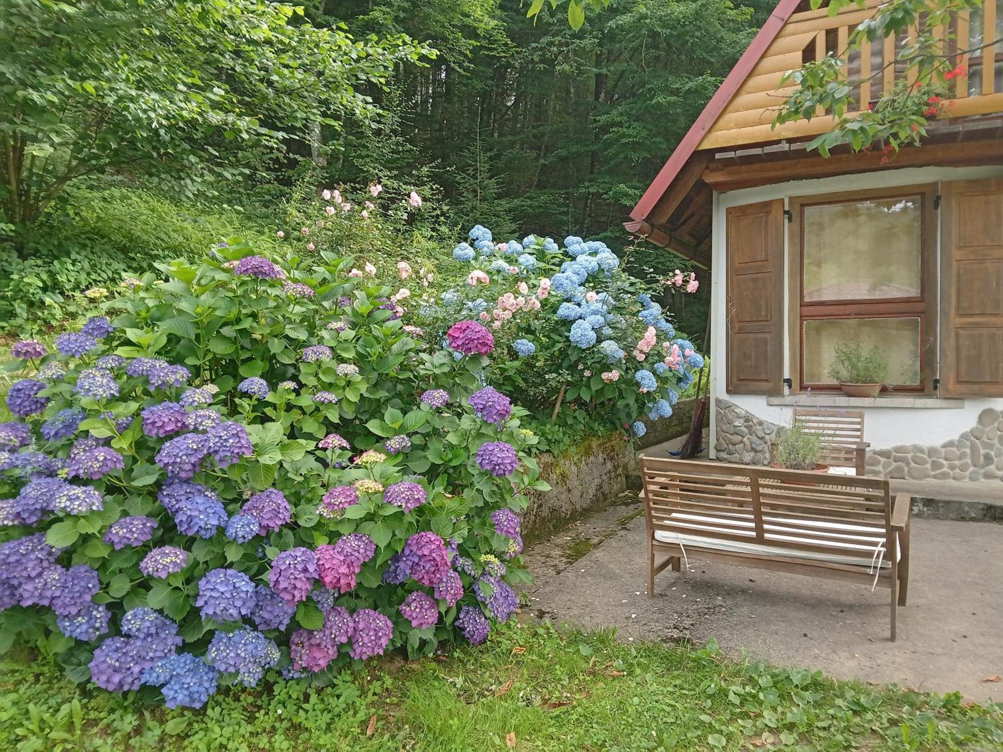Holiday Home Vesna Brod na Kupi 外观 照片