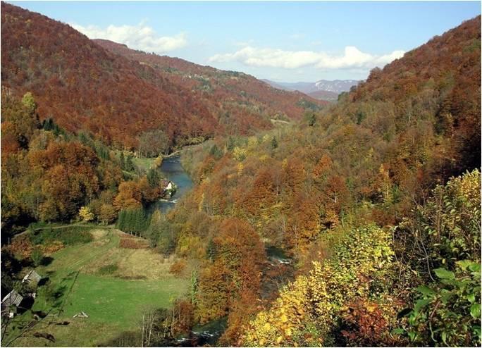 Holiday Home Vesna Brod na Kupi 外观 照片