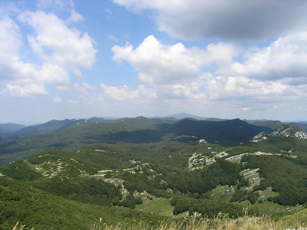 Holiday Home Vesna Brod na Kupi 外观 照片