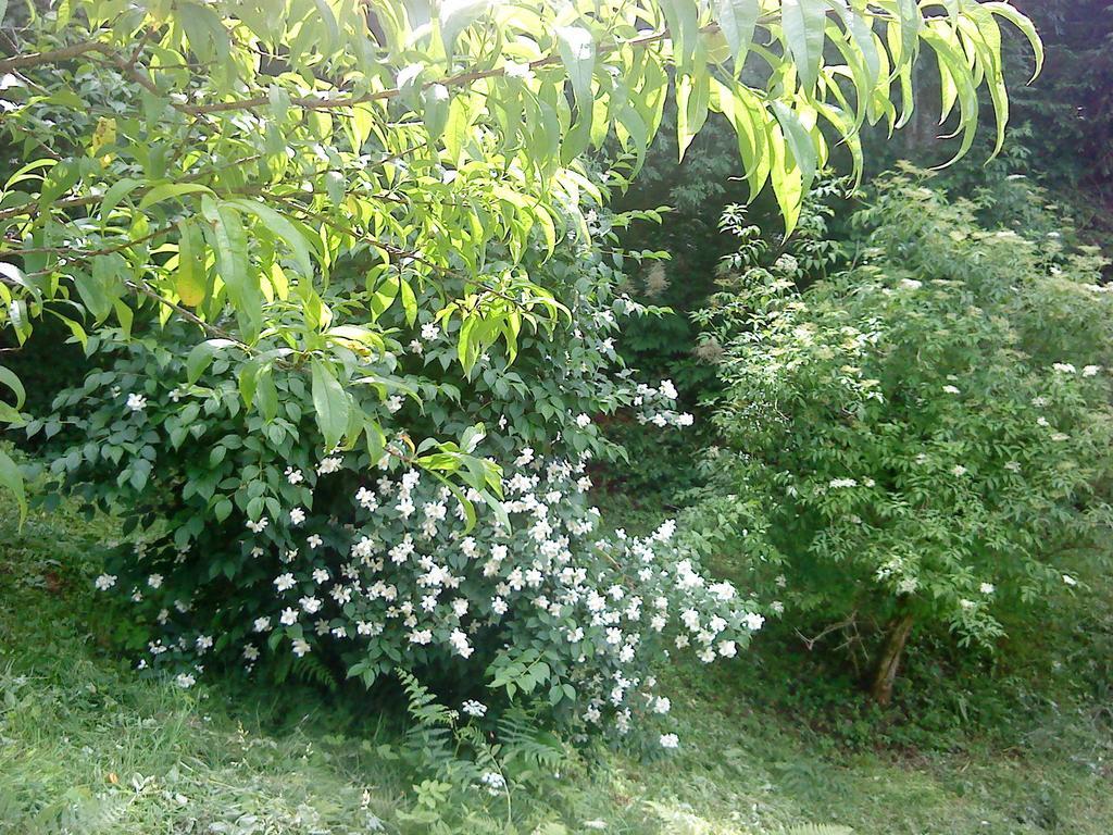 Holiday Home Vesna Brod na Kupi 客房 照片